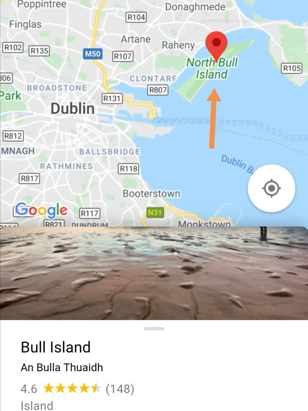 爱尔兰女子游泳创意突破,勇攀金峰 爱尔兰女子游泳创意突破,勇攀金峰