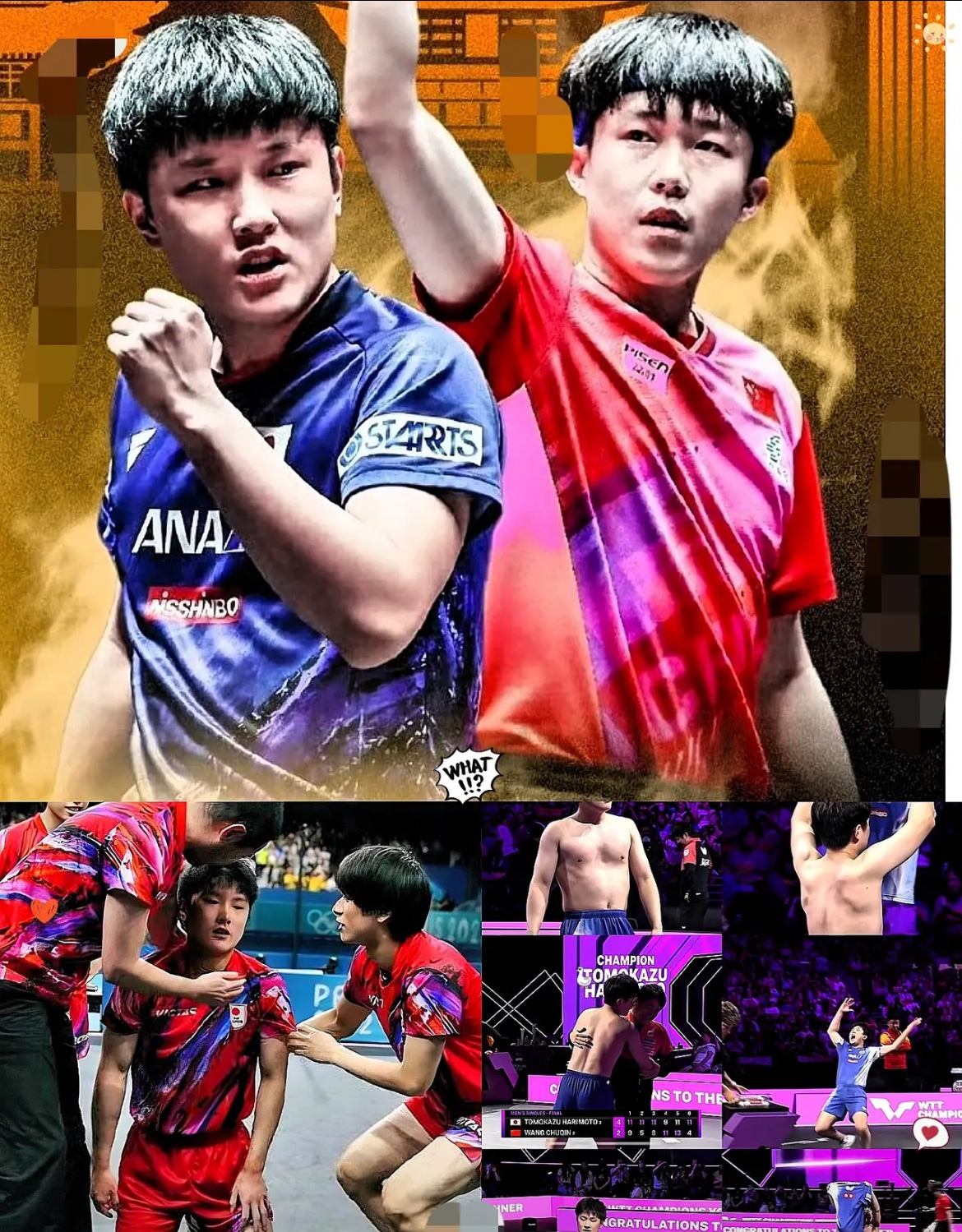 波兰队绝杀葡萄牙队，张本智和扛起全队的简单介绍