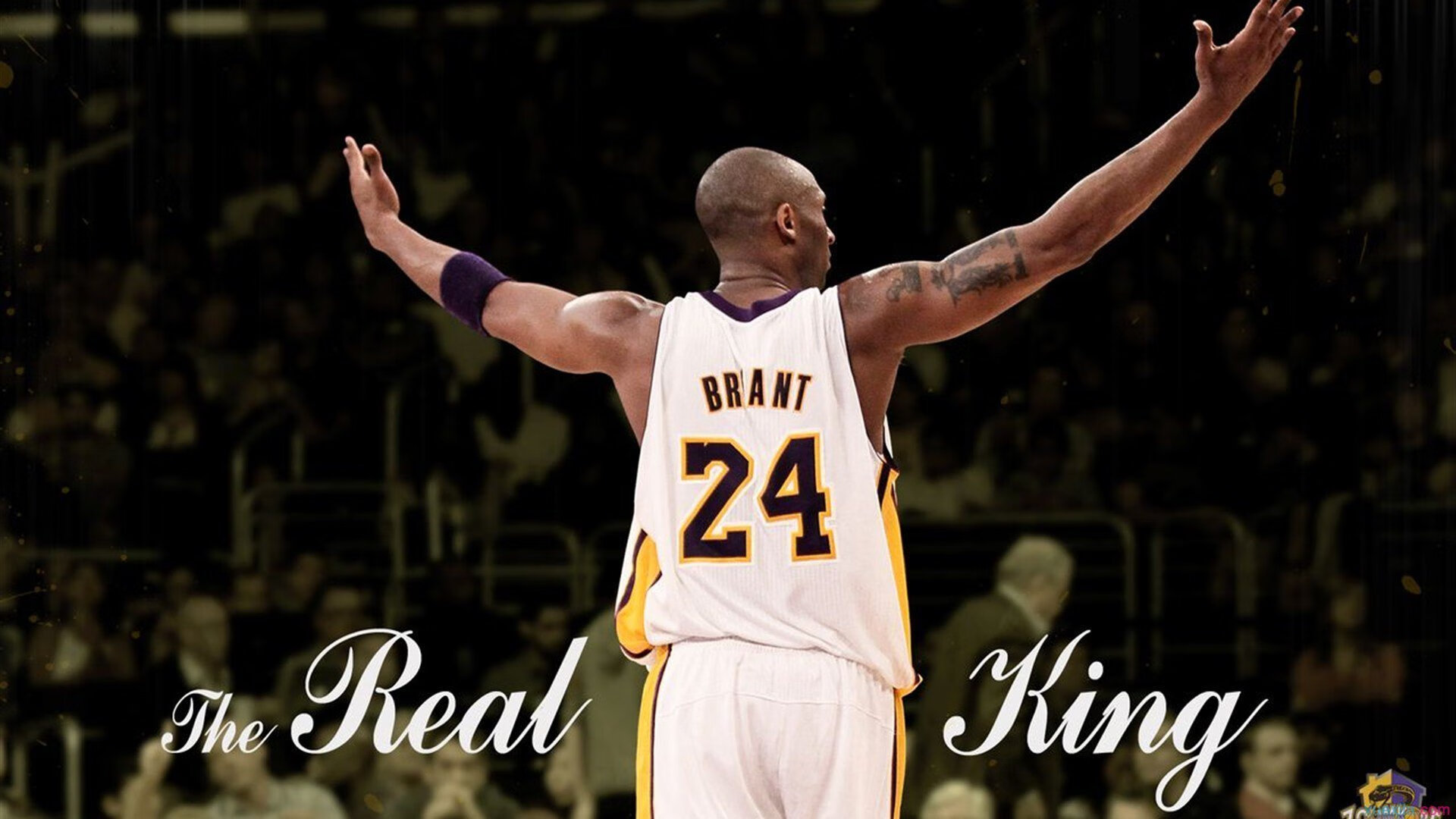 铁骑踏碎东欧堡垒！王皓肩扛日耳曼战旗破冰前行